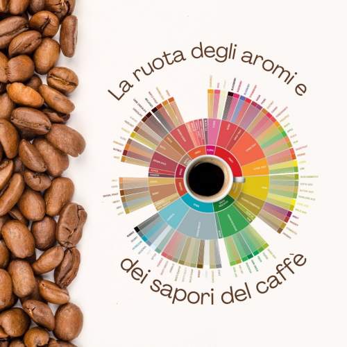 Grafico della ruota dei sapori e degli aromi del caffè